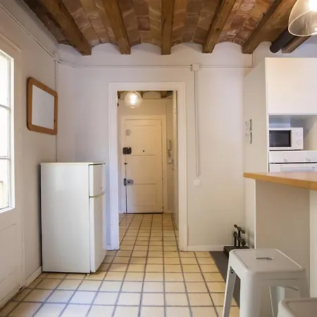 41cob1019- Charming Rustic Apartment